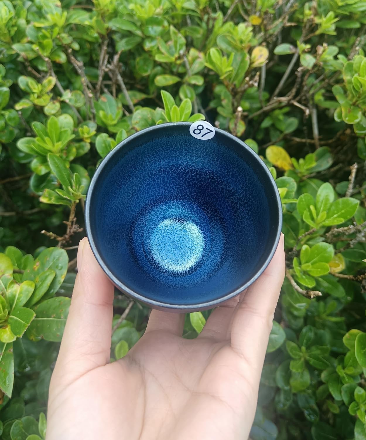 Apingjenz Tea Coffee Cups